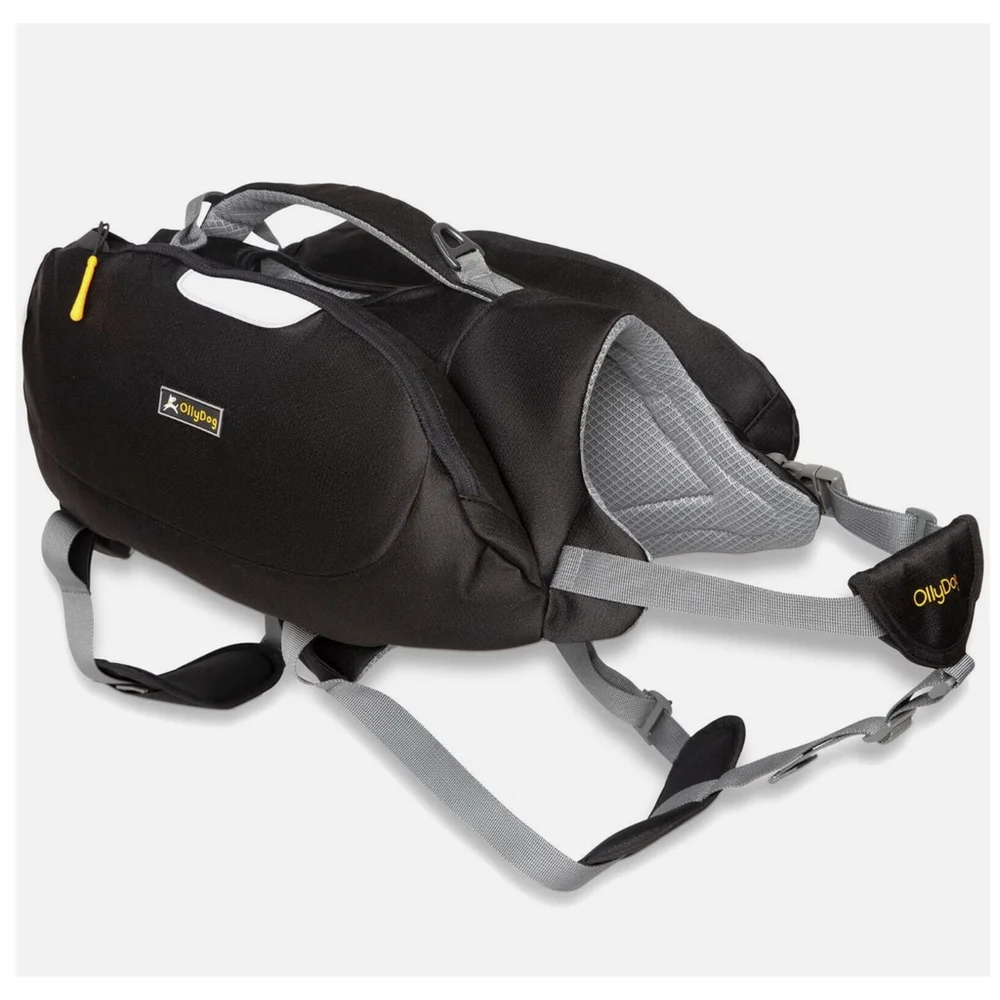 New OllyDog Rover Eco-Friendly Dog Back Pack Raven